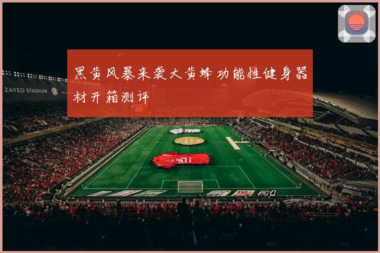 黑黄风暴来袭大黄蜂功能性健身器材开箱测评