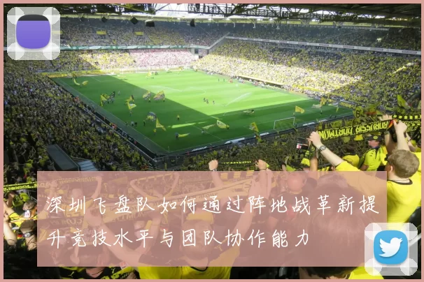 深圳飞盘队如何通过阵地战革新提升竞技水平与团队协作能力