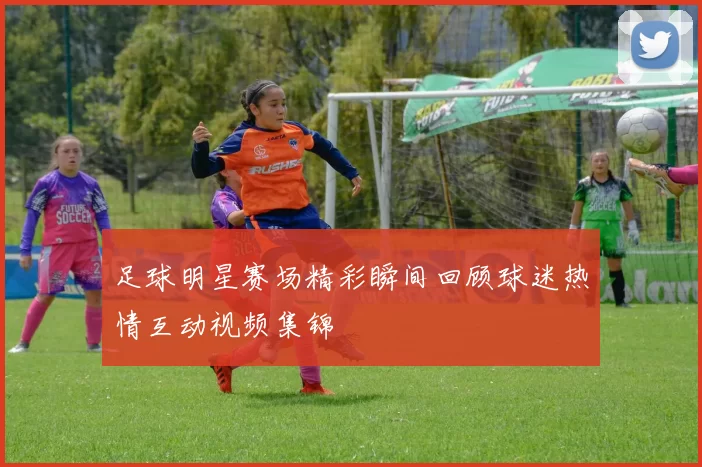 足球明星赛场精彩瞬间回顾球迷热情互动视频集锦