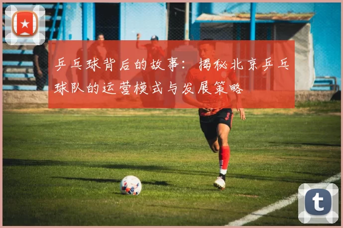 乒乓球背后的故事：揭秘北京乒乓球队的运营模式与发展策略