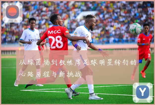 从绿茵场到教练席足球明星转行的心路历程与新挑战