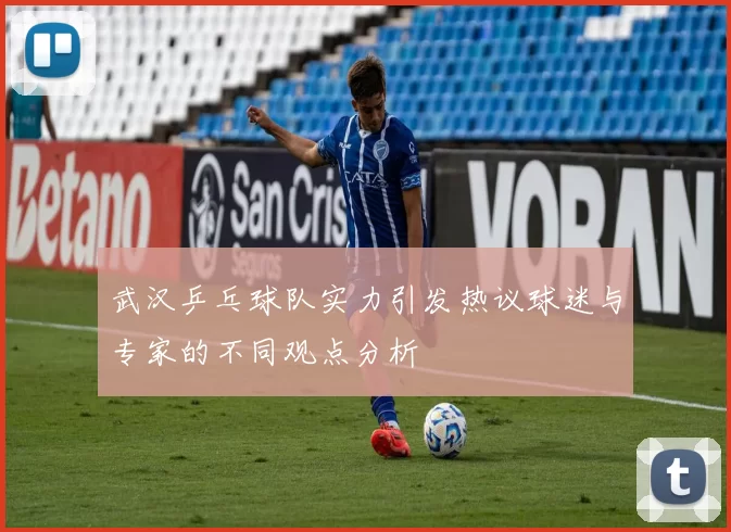 武汉乒乓球队实力引发热议球迷与专家的不同观点分析