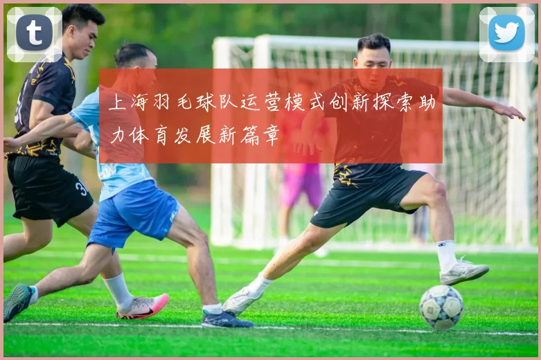 上海羽毛球队运营模式创新探索助力体育发展新篇章
