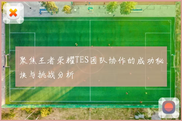 聚焦王者荣耀TES团队协作的成功秘诀与挑战分析