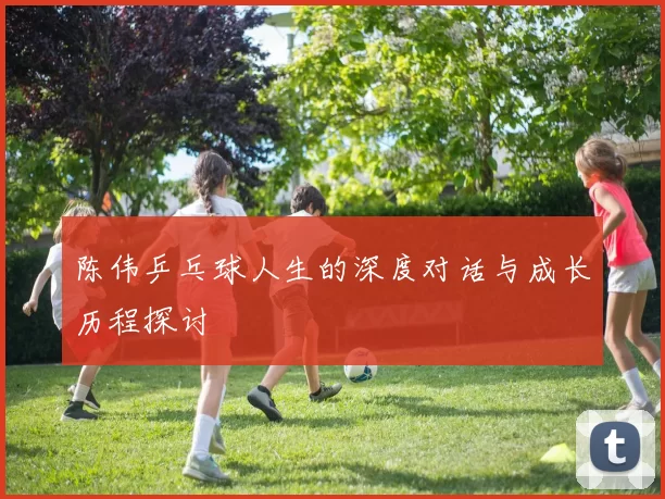 陈伟乒乓球人生的深度对话与成长历程探讨