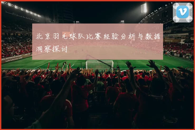 北京羽毛球队比赛经验分析与数据洞察探讨